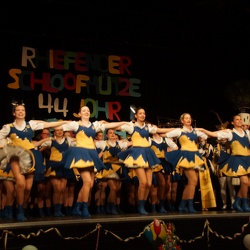 20240113 Rheinfelder Karnevalsfreunde